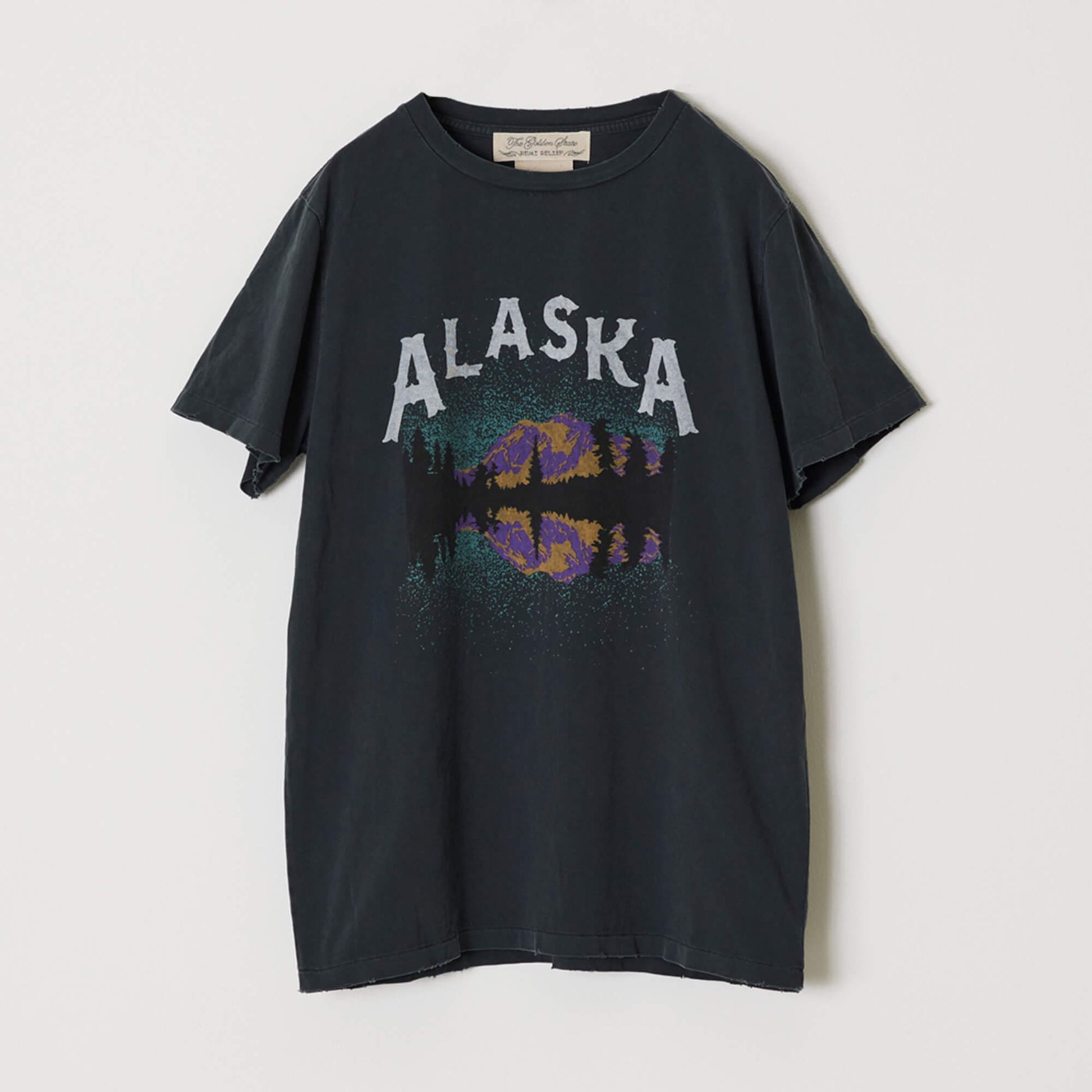 SP processing T(ALASKA)