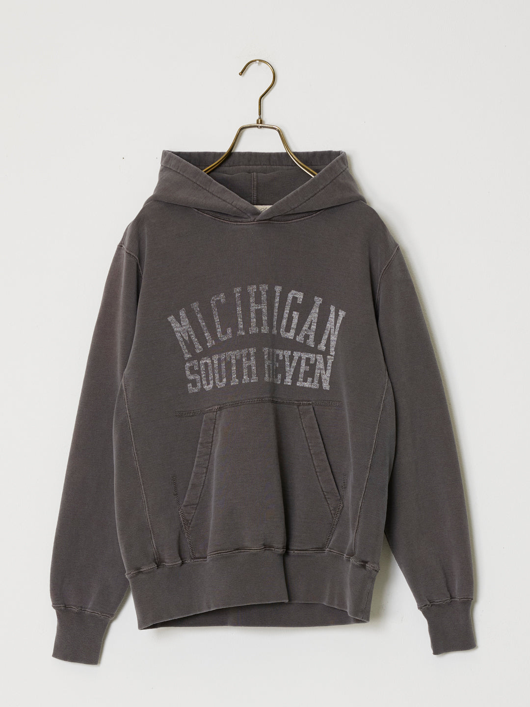 SP processed fleece hoodie (MICHIGAN) 