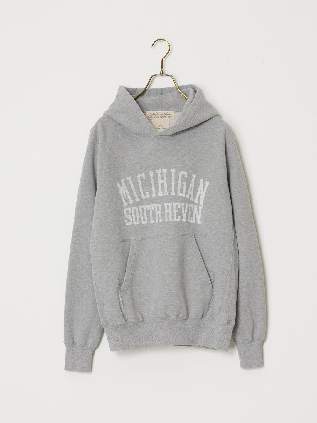 SP processed fleece hoodie (MICHIGAN) 