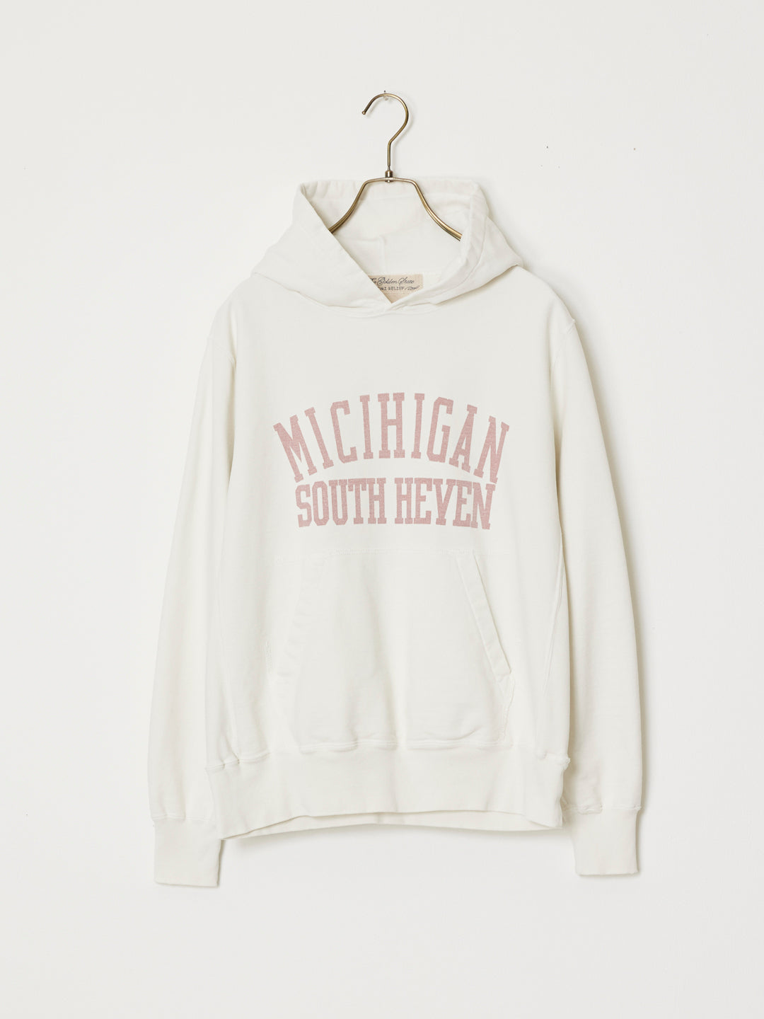 SP processed fleece hoodie (MICHIGAN) 