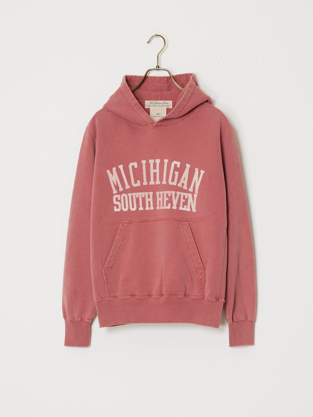 SP processed fleece hoodie (MICHIGAN) 