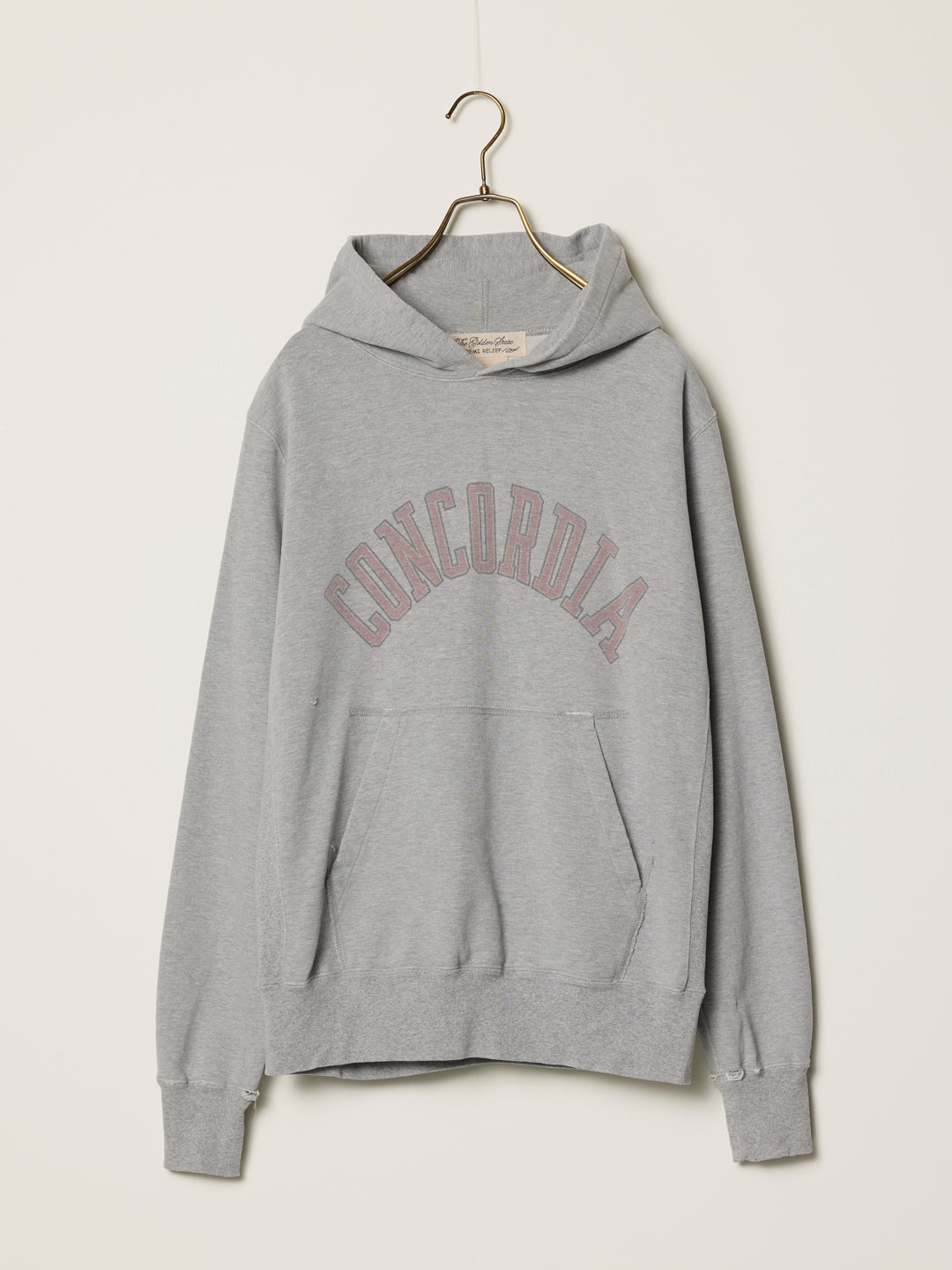 SP processed fleece lining hoodie (CONCORDIA)