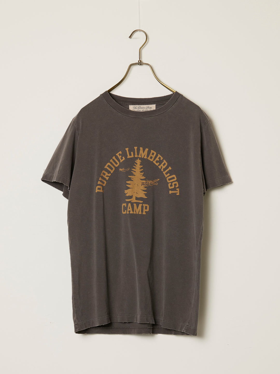 SP processing T (CAMP)