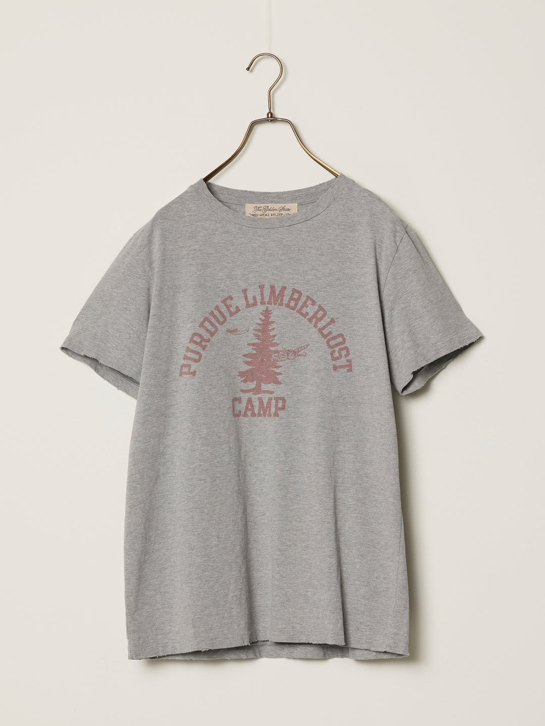 SP processing T (CAMP)