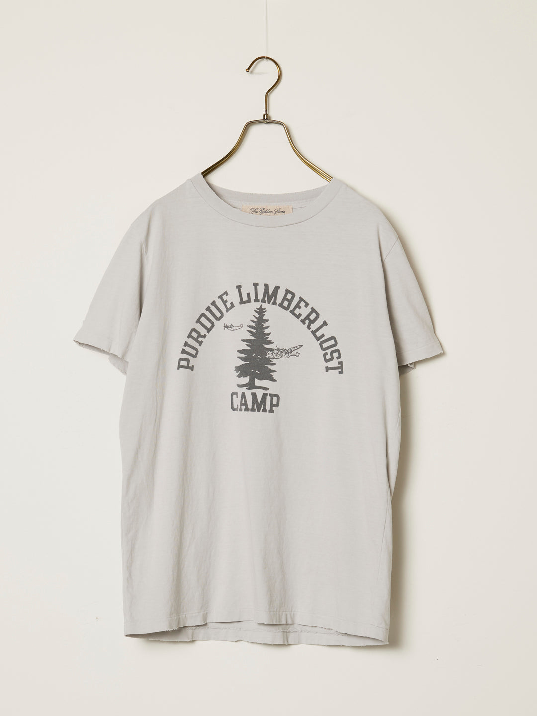 SP processing T (CAMP)