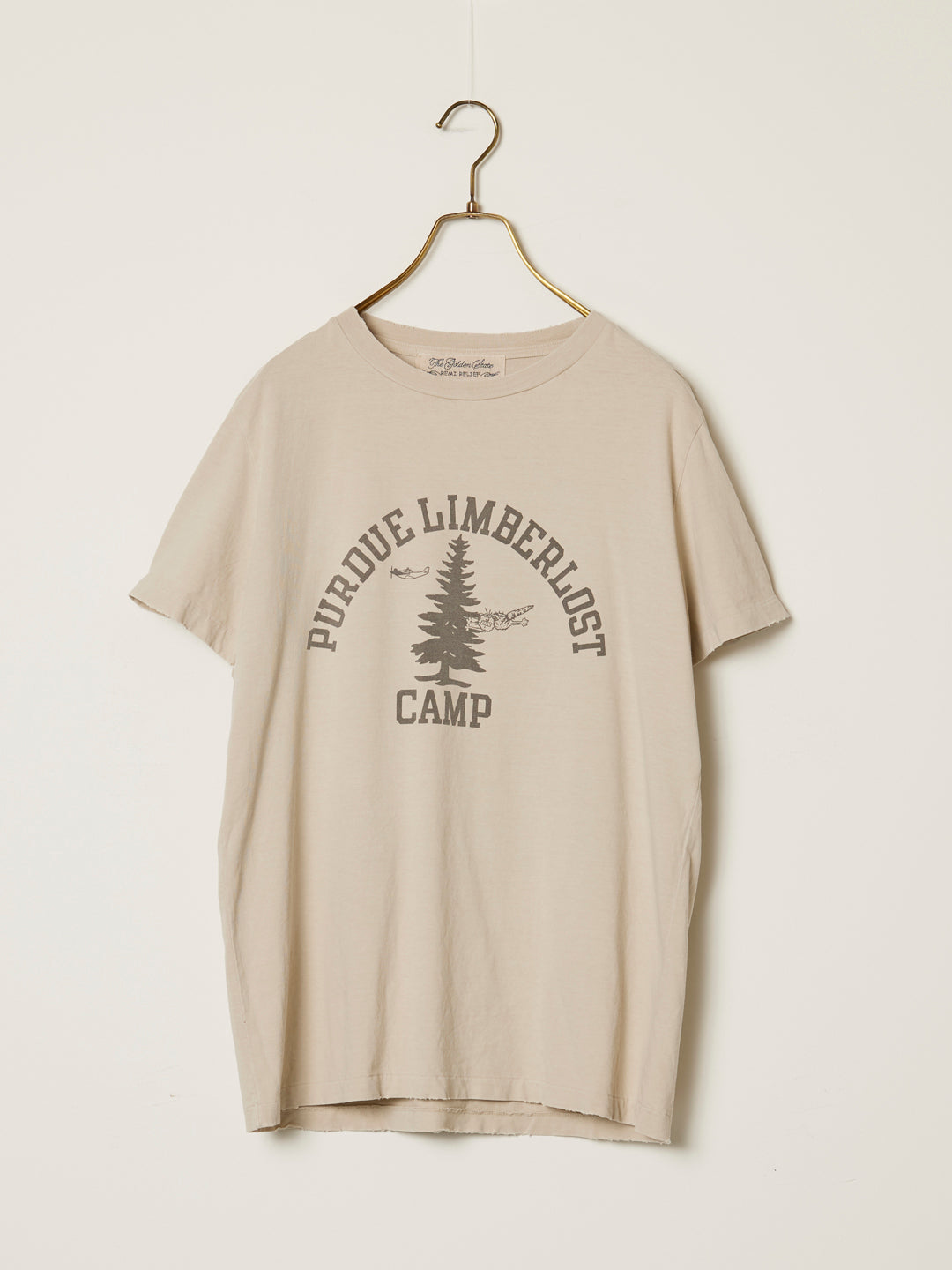 SP processing T (CAMP)
