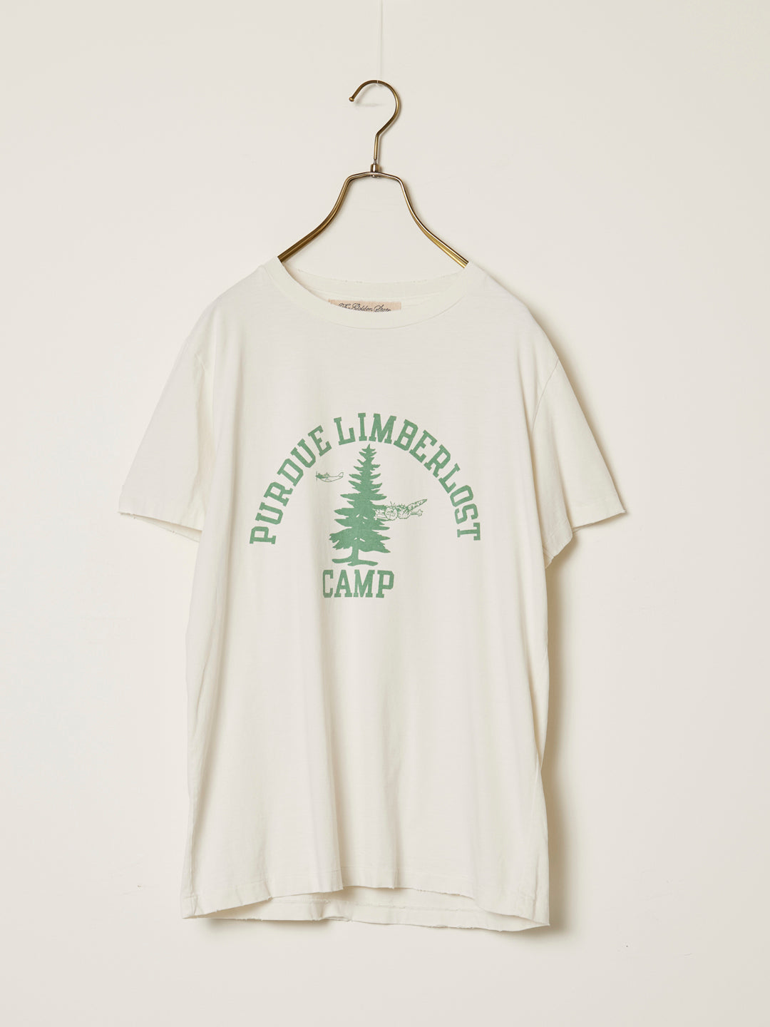 SP processing T (CAMP)