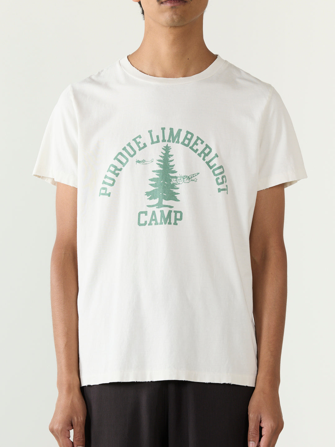 SP processing T (CAMP)
