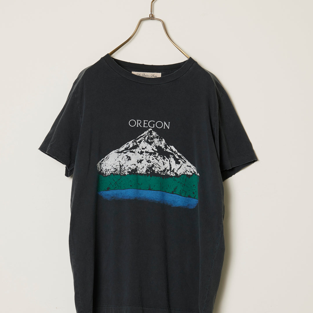SP processing T(OREGON)