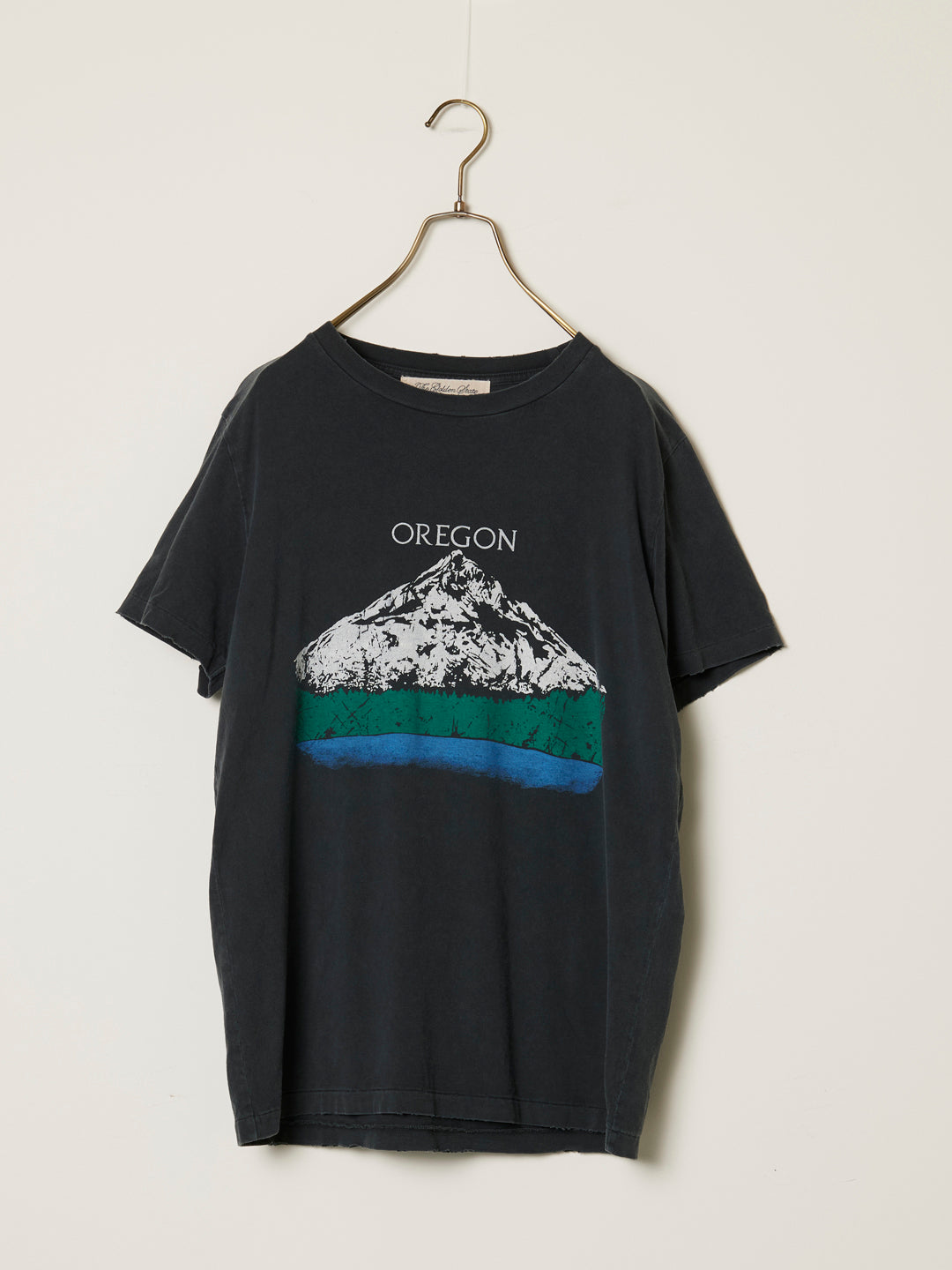SP processing T(OREGON)