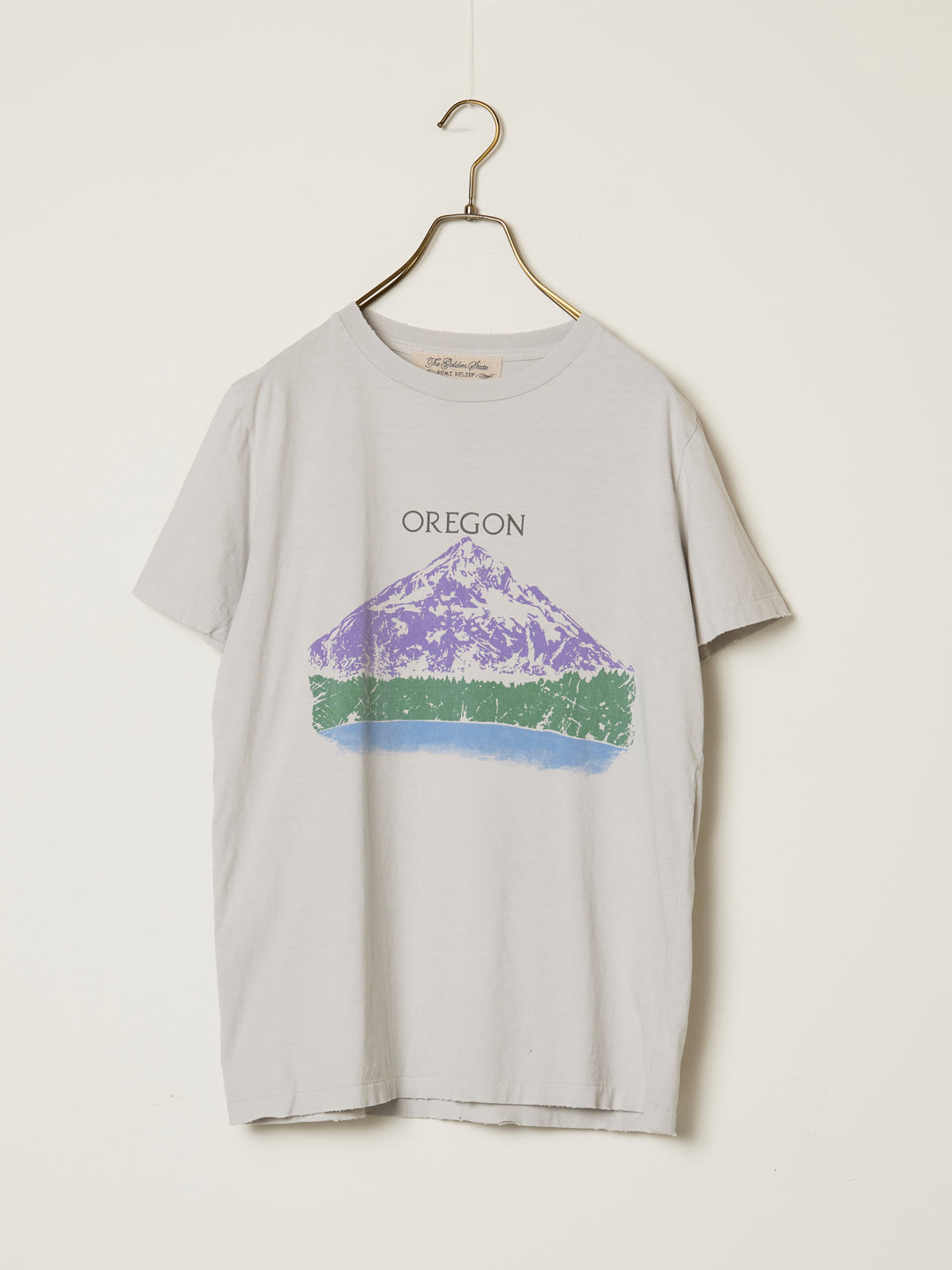SP processing T(OREGON)