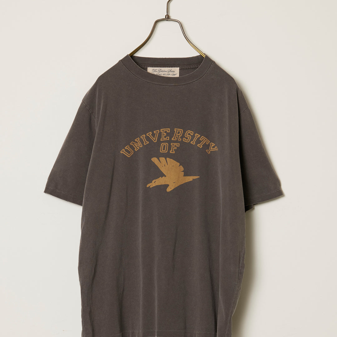 SP Processing New Fit T (UNIVERSITY OF)