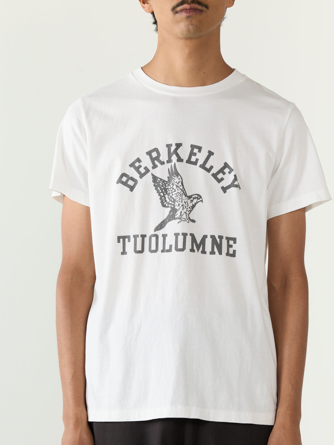 LW 가입 T(BERKELEY)