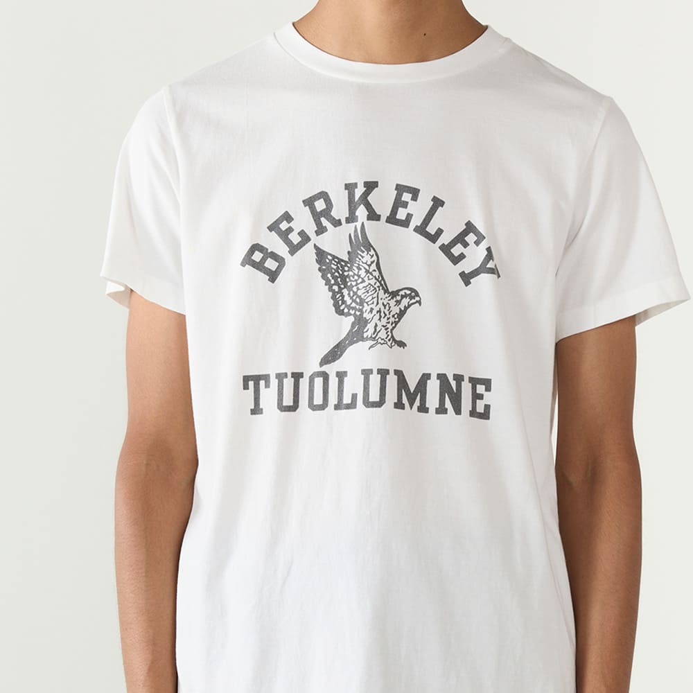 LW 가입 T(BERKELEY)