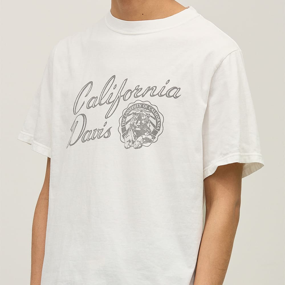 HARD SP加工20/天竺レギュラーT(California Dais)