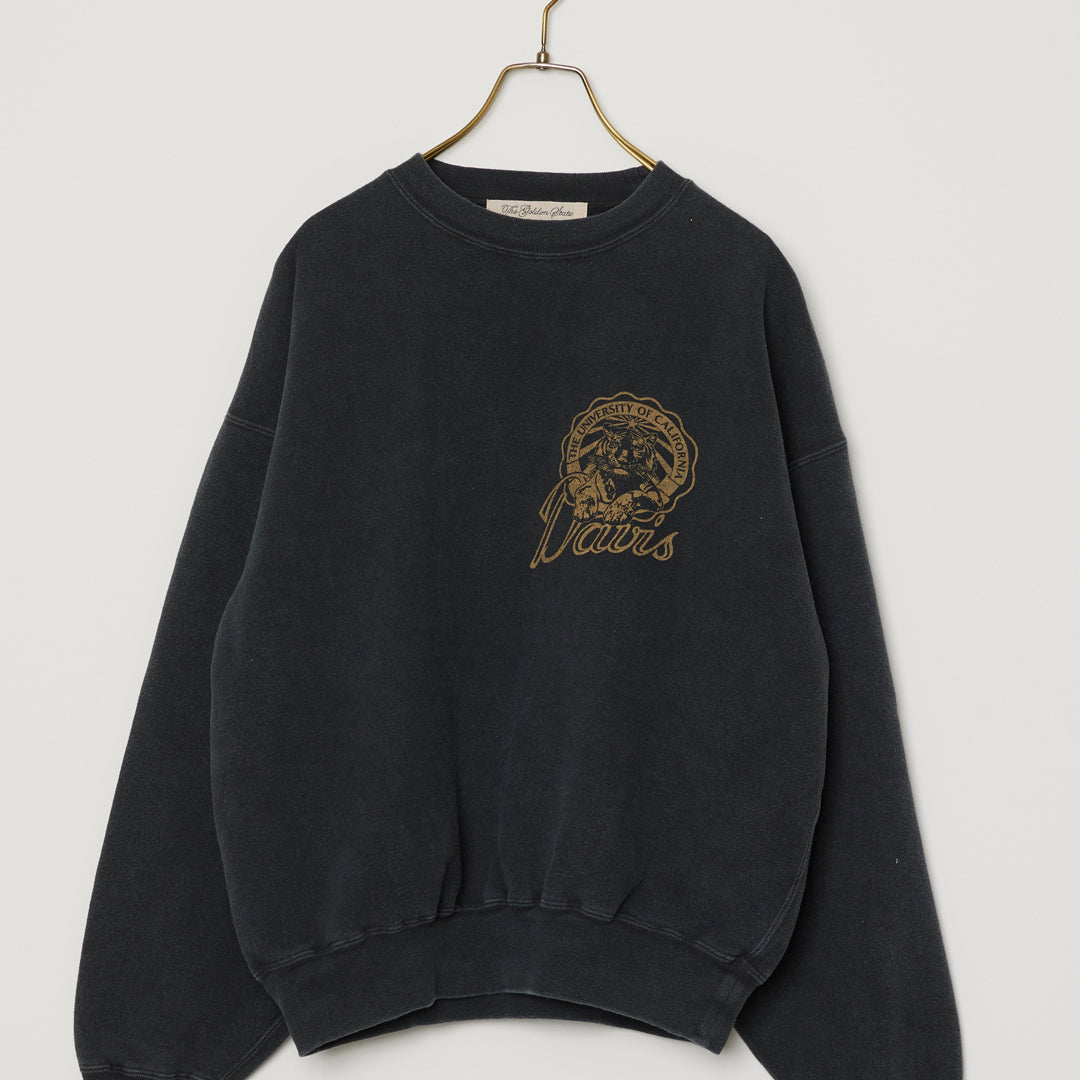 SP加⼯起⽑裏⽑クルー(Davis)