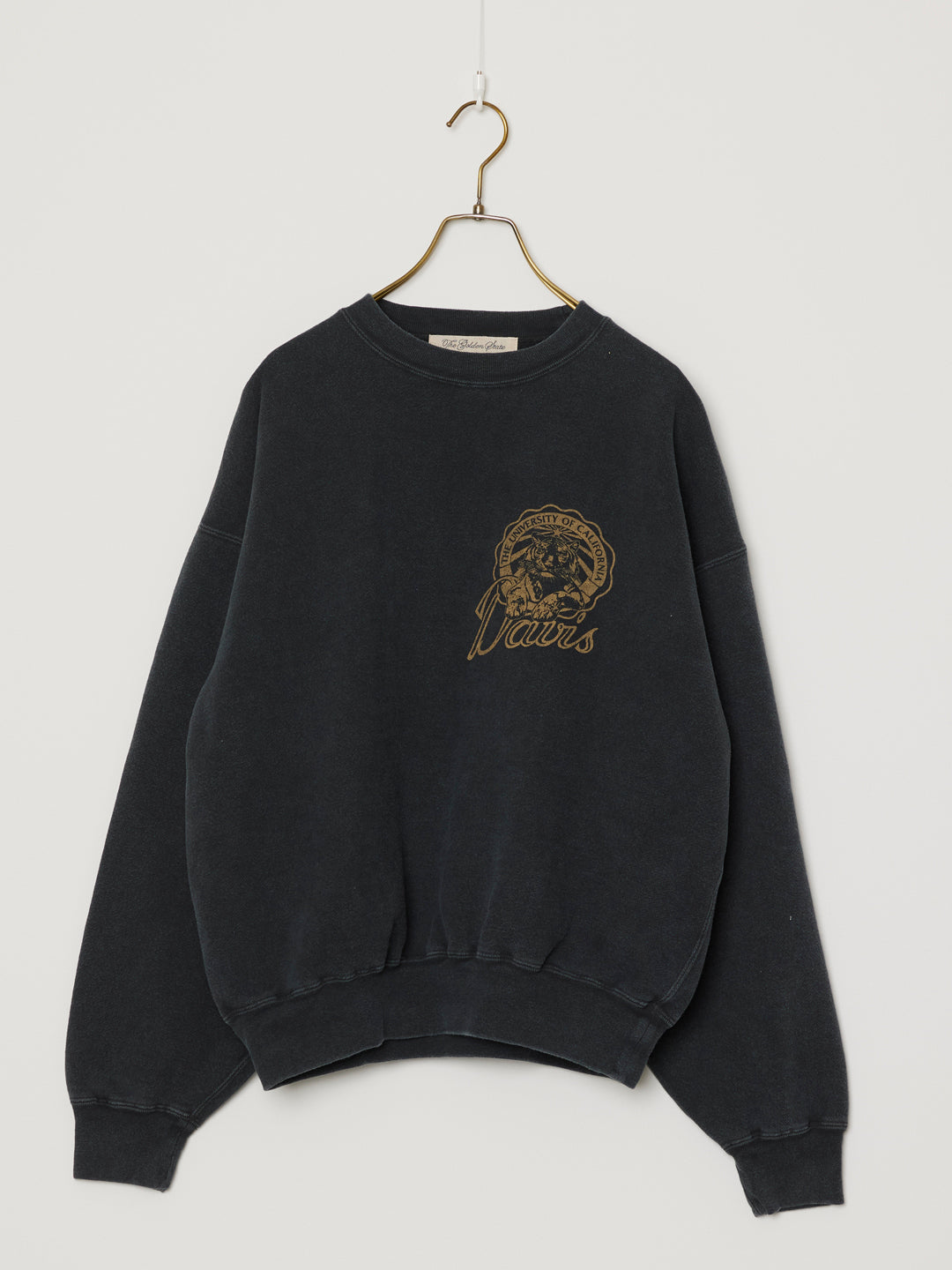 SP processed hair backing crew (Davis)