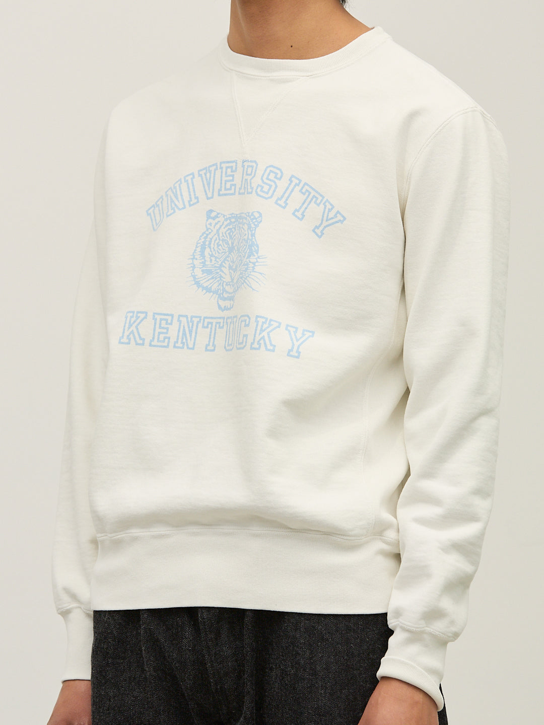 SP가 뒤로 승무원(KENTUCKY)