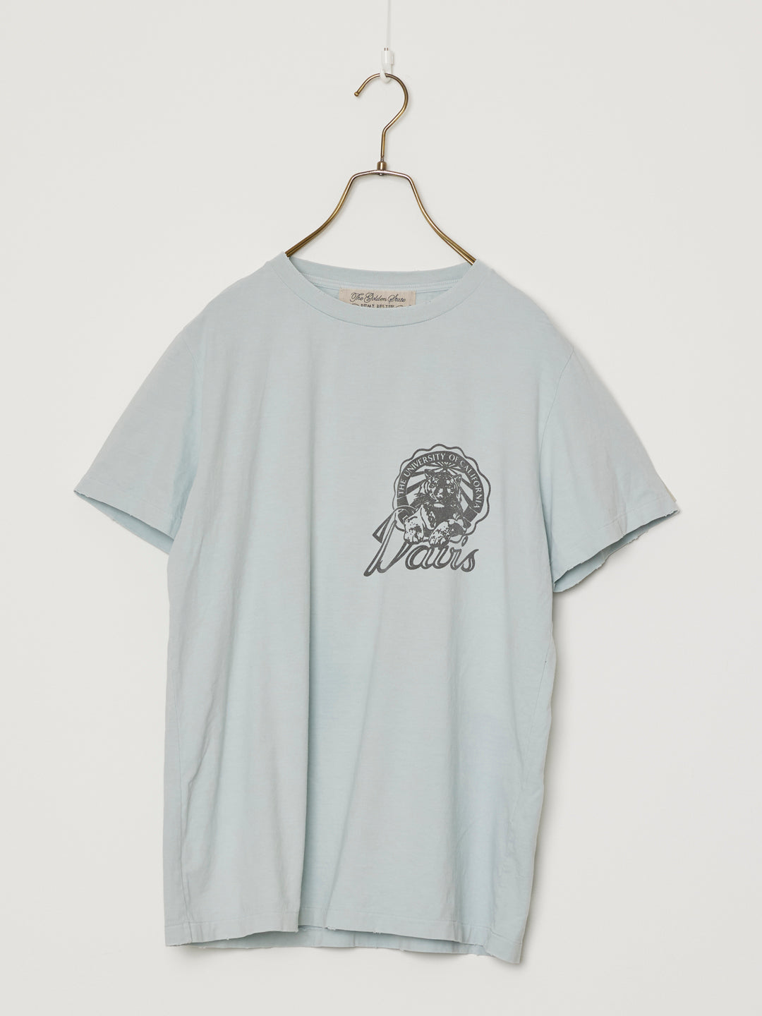 SP processing T (Davis)