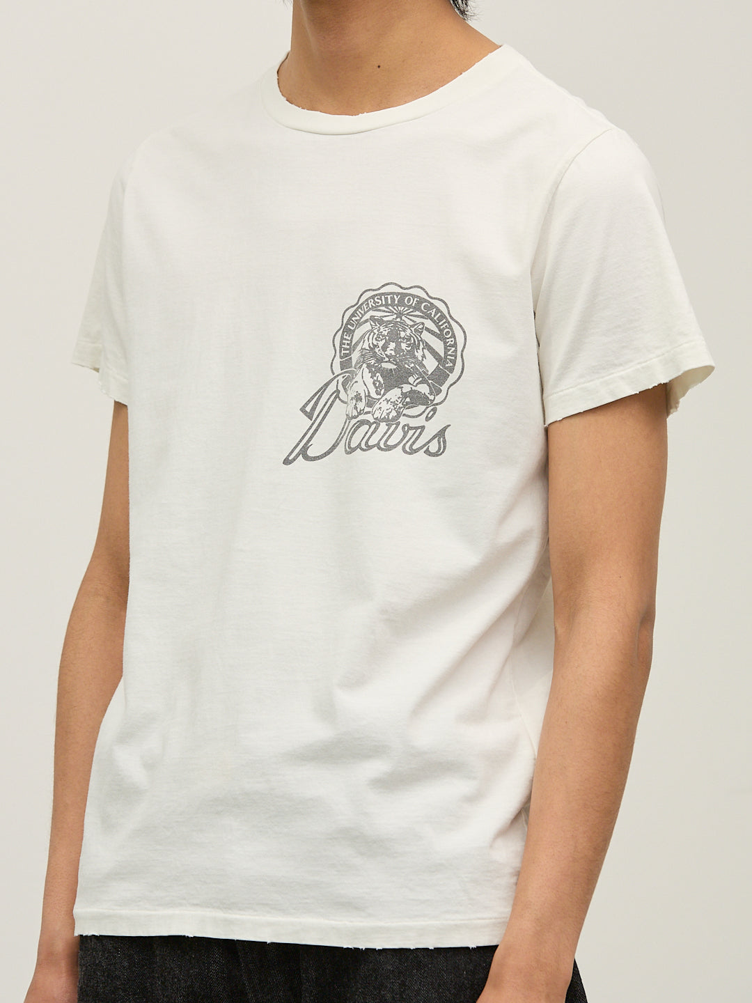 SP processing T (Davis)