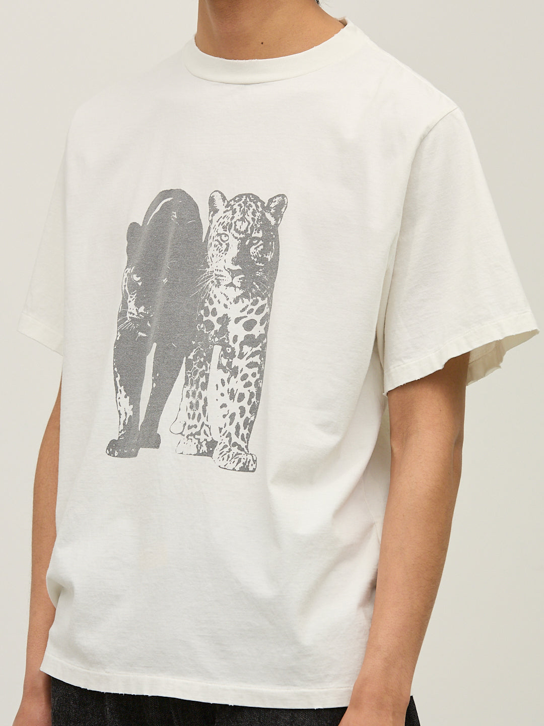 SP processed NEW Fit T (Leopard)