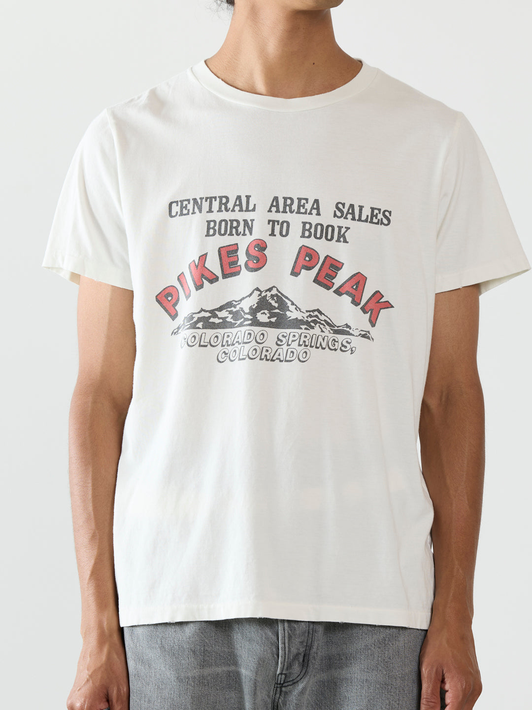 SP-processed T-shirt (PIKES PEAK)